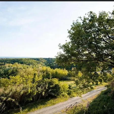Smeraldo Fronte Piscina * Vignale
